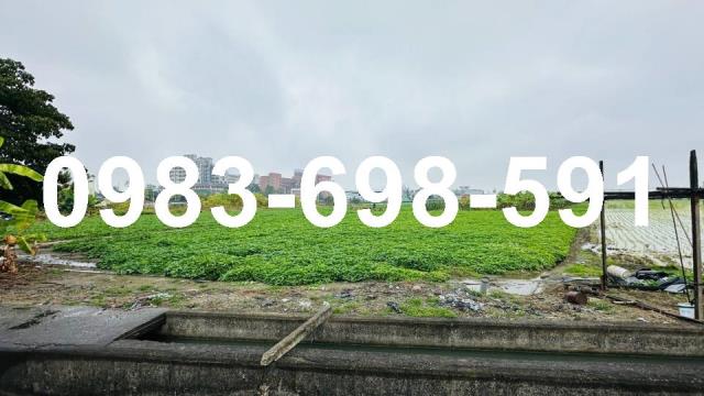 高雄大寮倉庫-0